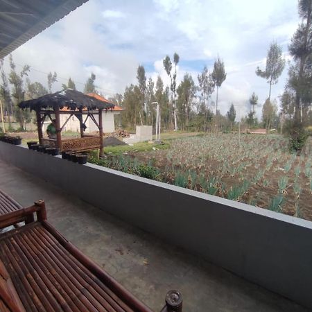 Elen Homestay By Abm Bromo Extérieur photo