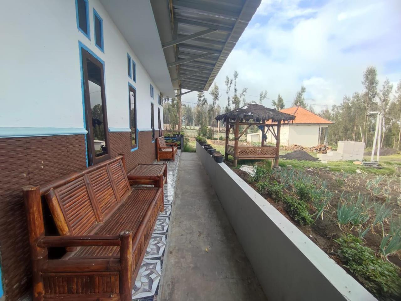 Elen Homestay By Abm Bromo Extérieur photo