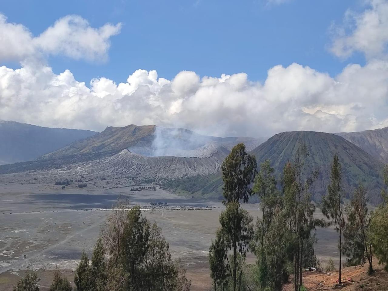 Elen Homestay By Abm Bromo Extérieur photo
